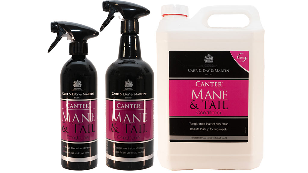 Canter Mane and Tail