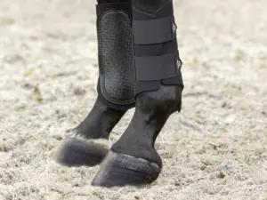 1743587270-32967-Hy-Sport-Active-Brushing-Boots-Black-02