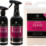 Canter Mane and Tail