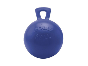 Jolly-Ball-Blue-for-web