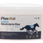 Plusvital Electrolyte Plus