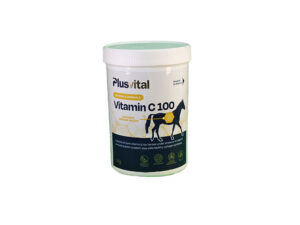 Plusvital Vitamin C 100 1kg