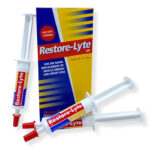 Restore Lyte Gel Syringe (3 Pack)