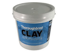 Thoroughbred-Clay