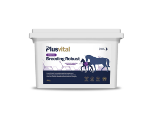 Breeding-Robust-Plusvital