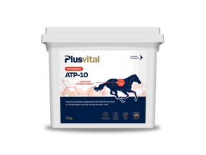 Plusvital-ATP-10-web2