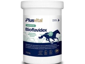 Plusvital-Bioflavidex