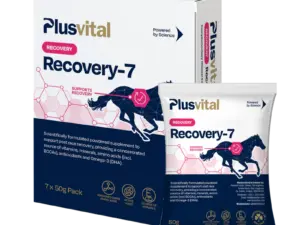 Plusvital Recovery 7.png