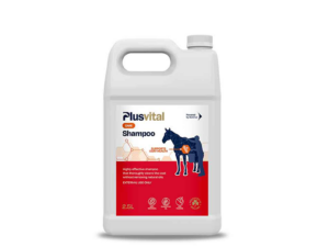 Shampoo-Plusvital