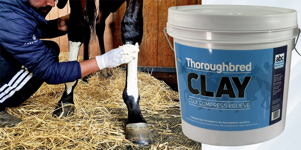 Thoroughbred Clay