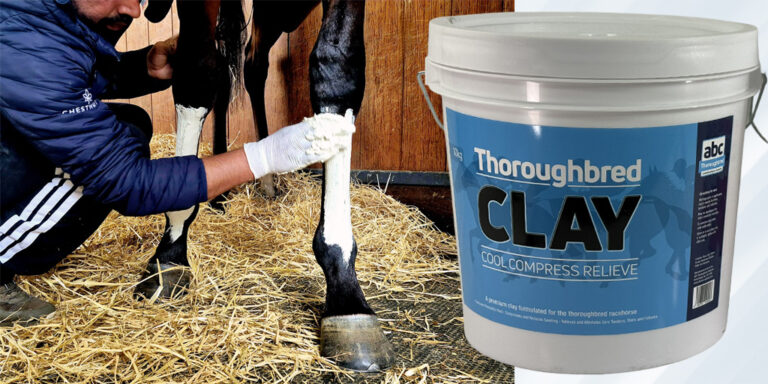 Clay Applied to Horses Leg
